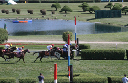 horse race finish